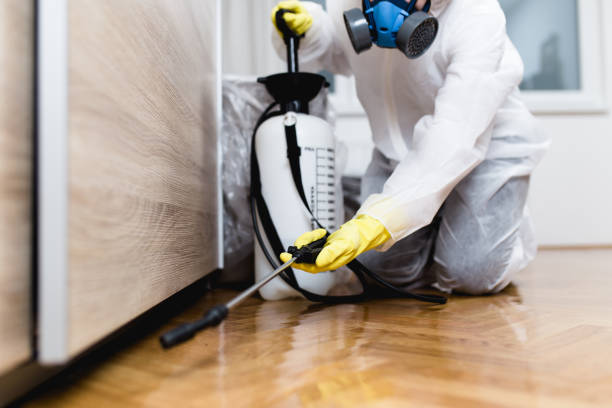 Best Pest Control Near Me in Anniston, AL
