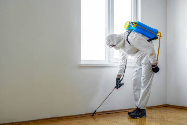 Best Mosquito Control Services  in Anniston, AL