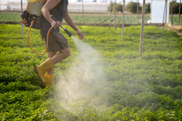 Best Residential Pest Control  in Anniston, AL