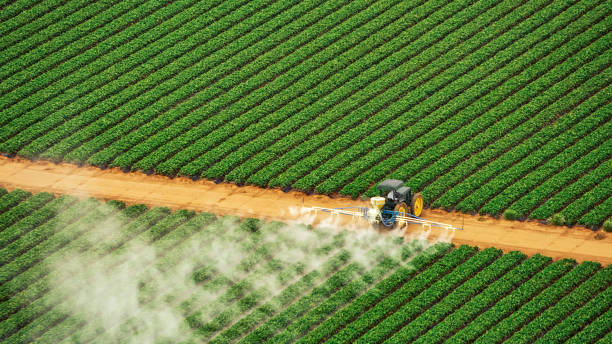 Best Commercial Pest Control Services  in Anniston, AL