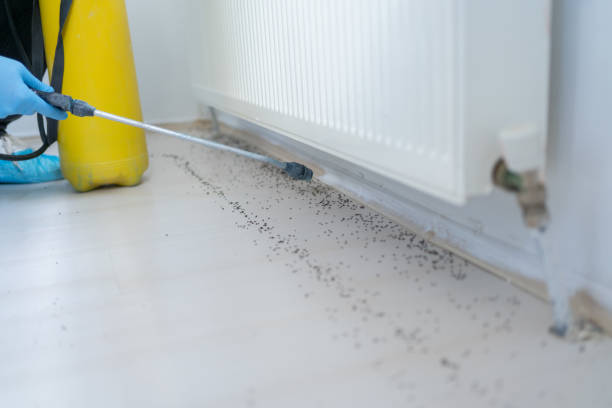 Best Pest Control Near Me  in Anniston, AL