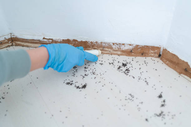 Pest Control Cost in Anniston, AL